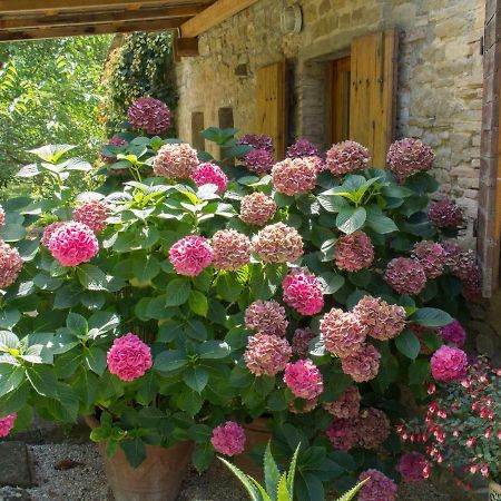 Casa La Valle, Gubbio, Frazione Santa Cristina住宿加早餐旅馆 外观 照片