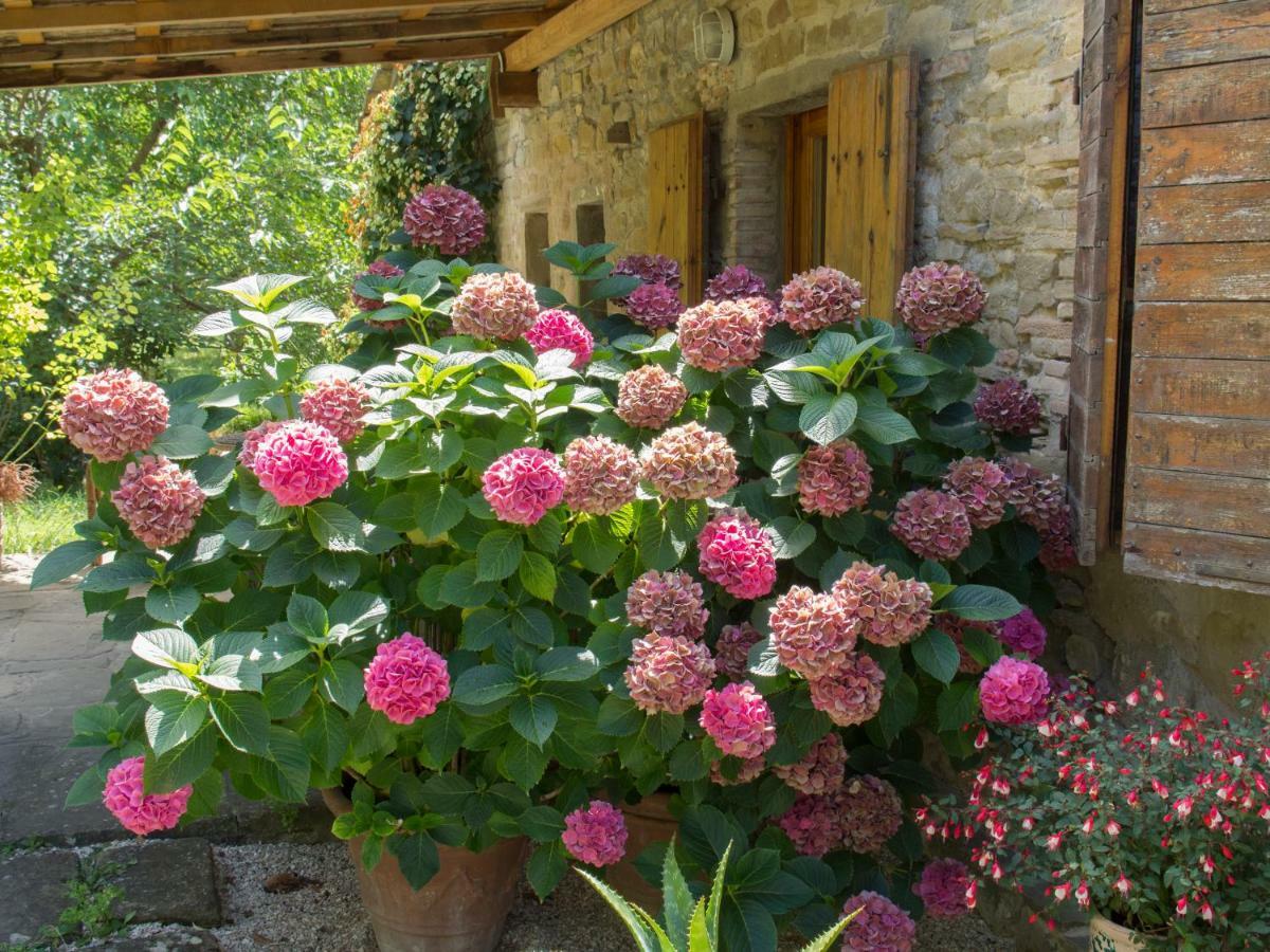 Casa La Valle, Gubbio, Frazione Santa Cristina住宿加早餐旅馆 外观 照片